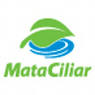 MATA CILIAR